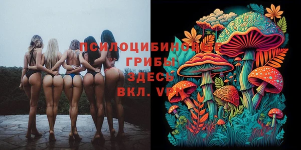 бошки Армянск