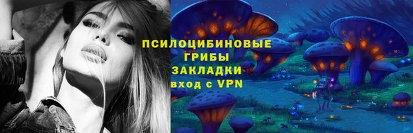 бошки Армянск